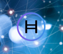 Hedera